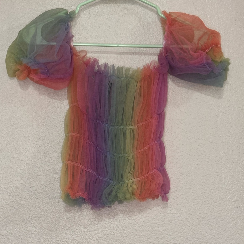 Colorful Sheer Puff Sleeve Top